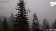 Archiv Foto Webcam Sonnkogel Schmitten 13:00
