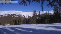 Archived image Webcam Mt Chair Lift Base Station Cooper Hill 13:00