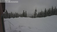 Archived image Webcam Summit Cam Cooper Hill 17:00