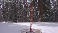 Archiv Foto Webcam Schneemessstation im Skigebiet Cooper Hill 06:00
