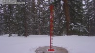 Archiv Foto Webcam Schneemessstation im Skigebiet Cooper Hill 08:00