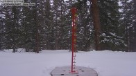 Archiv Foto Webcam Schneemessstation im Skigebiet Cooper Hill 12:00