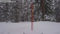 Archived image Webcam Snow Stake Cooper Hill 09:00