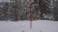 Archived image Webcam Snow Stake Cooper Hill 11:00