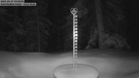 Archived image Webcam Snow Stake Cooper Hill 03:00