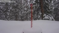 Archived image Webcam Snow Stake Cooper Hill 11:00