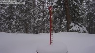 Archived image Webcam Snow Stake Cooper Hill 15:00
