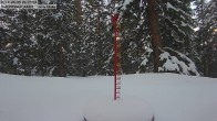 Archiv Foto Webcam Schneemessstation im Skigebiet Cooper Hill 05:00