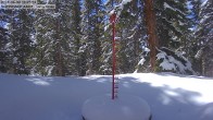 Archiv Foto Webcam Schneemessstation im Skigebiet Cooper Hill 11:00