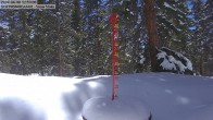 Archiv Foto Webcam Schneemessstation im Skigebiet Cooper Hill 13:00