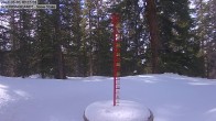 Archived image Webcam Snow Stake Cooper Hill 09:00