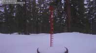 Archiv Foto Webcam Schneemessstation im Skigebiet Cooper Hill 13:00