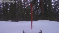 Archiv Foto Webcam Schneemessstation im Skigebiet Cooper Hill 15:00