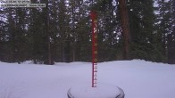 Archived image Webcam Snow Stake Cooper Hill 17:00