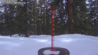 Archiv Foto Webcam Schneemessstation im Skigebiet Cooper Hill 15:00
