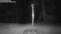 Archived image Webcam Snow Stake Cooper Hill 03:00