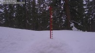 Archiv Foto Webcam Schneemessstation im Skigebiet Cooper Hill 11:00