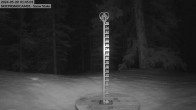 Archived image Webcam Snow Stake Cooper Hill 01:00