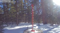 Archived image Webcam Snow Stake Cooper Hill 13:00