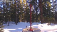 Archived image Webcam Snow Stake Cooper Hill 15:00