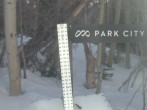 Archiv Foto Webcam Snow Stake Park City 05:00