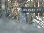 Archived image Webcam Snow Stake Park City 07:00