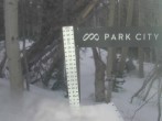 Archiv Foto Webcam Snow Stake Park City 19:00