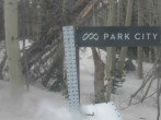 Archiv Foto Webcam Snow Stake Park City 13:00