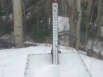 Archived image Webcam Snow Stake Park City 11:00