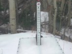 Archiv Foto Webcam Snow Stake Park City 13:00