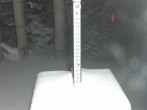 Archiv Foto Webcam Snow Stake Park City 03:00