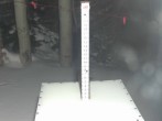 Archived image Webcam Snow Stake Park City 05:00