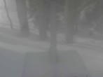 Archiv Foto Webcam Snow Stake Park City 11:00