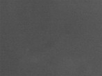 Archiv Foto Webcam Snow Stake Park City 19:00