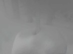 Archiv Foto Webcam Snow Stake Park City 08:00