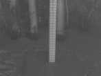 Archiv Foto Webcam Snow Stake Park City 01:00