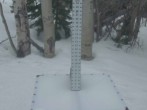 Archived image Webcam Snow Stake Park City 05:00