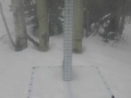 Archived image Webcam Snow Stake Park City 11:00