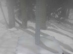 Archived image Webcam Snow Stake Park City 13:00