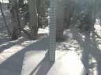 Archived image Webcam Snow Stake Park City 17:00