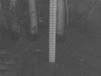 Archiv Foto Webcam Snow Stake Park City 23:00