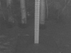 Archiv Foto Webcam Snow Stake Park City 01:00