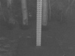 Archived image Webcam Snow Stake Park City 03:00