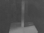 Archiv Foto Webcam Snow Stake Park City 01:00