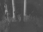 Archived image Webcam Snow Stake Park City 01:00