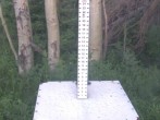 Archiv Foto Webcam Snow Stake Park City 05:00