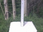 Archiv Foto Webcam Snow Stake Park City 09:00
