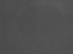 Archiv Foto Webcam Snow Stake Park City 01:00