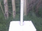 Archiv Foto Webcam Snow Stake Park City 05:00