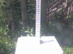 Archiv Foto Webcam Snow Stake Park City 11:00